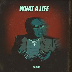 WHAT A LIFE (Explicit)