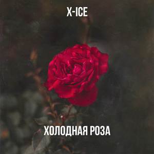 Холодная роза (Explicit)