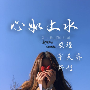 安瑾 - 我愿意平凡的陪在你身旁 (DJ版)