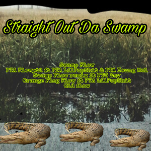 Straight Out The Swamp (Explicit)