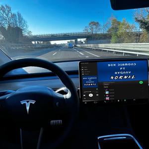 NORMAL (feat. Avgnny) (Explicit)