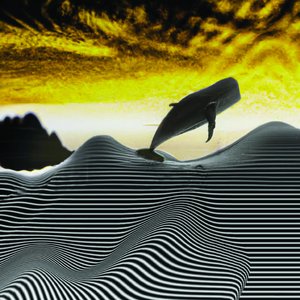 AB (2Lanes Longer Mind Print)