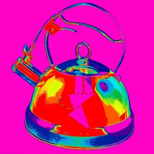 狼崽心心念念的烧开水