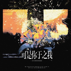 卡司宝贝 - 《可是你于之我》 丁禹兮小海棠双向奔赴应援曲 (伴奏)