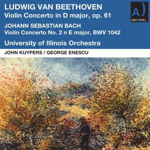 Concerto for Violin and Orchestra in D Major, Op. 61 - 01 Allegro ma non troppo (Live)