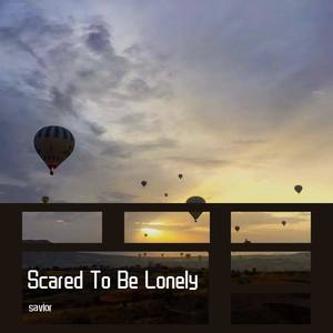 Martin Garrix-Scared To Be Lonely Drop G (西er / savior remix)