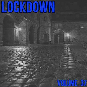 Lock Down Vol. 37