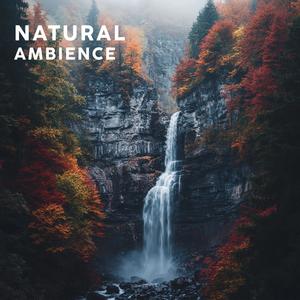 Relaxing Waves of Natural Ambience