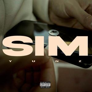 Sim (Explicit)