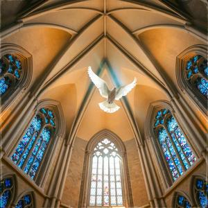 High Ceilings (feat. D.Cure) (Explicit)