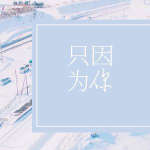 只因为你 (COVER版)