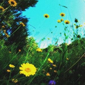 Les belles choses que je dessine (Explicit)