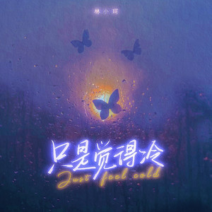 林小珂-只是觉得冷[MP3_LRC]_MP3下载