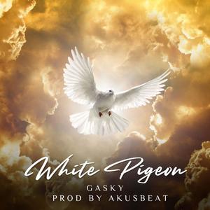 White pigeon