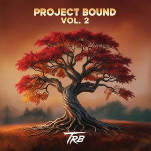 Project Bound, Vol. 2 (Explicit)