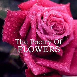 Thomas Hardy - To Flowers from Italy
