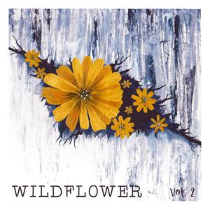 Wildflower, Vol. 2 (Explicit)