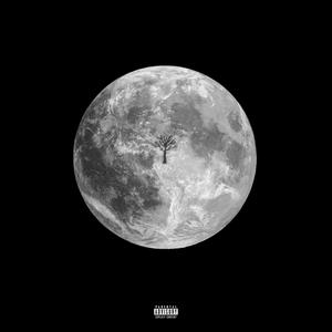 Moonlight (Explicit)