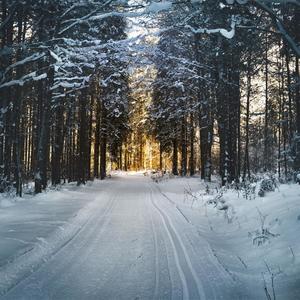 不听老人言 (Demo)