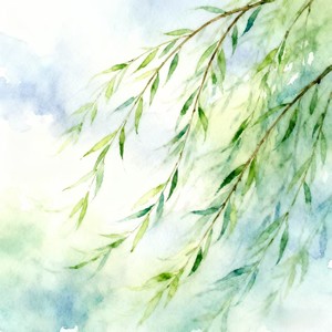 仲南 - 心若清风（行过人间）