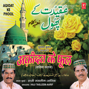 Hain Saiyaade Abraar