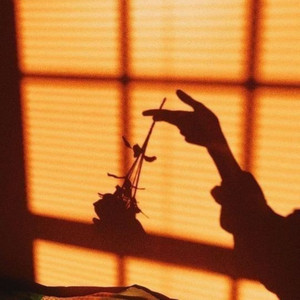 Lovely-Yassine Bilal