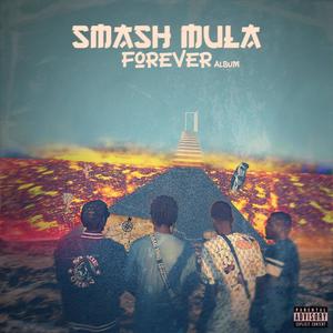 Smash Mula Forever (Explicit)