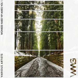 My Way (Raider VIP Remix)