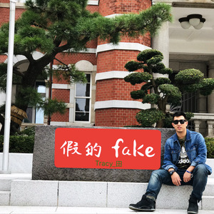 假的fake