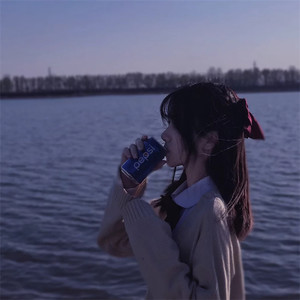 他说我是帅气男孩 (DJ版)