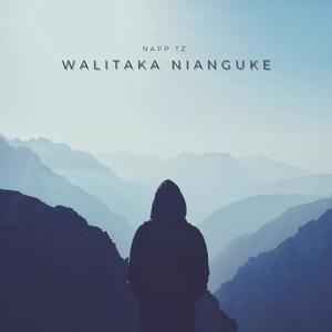 walitaka nianguke (feat. Napp TZ)