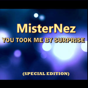 You Took Me By Surprise (Special Edition)