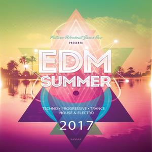 EDM Summer 2017