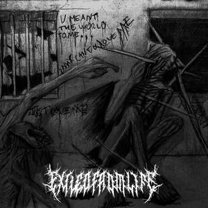 As Static Eats My Brain (feat. Wounded Masquerade) (Explicit)