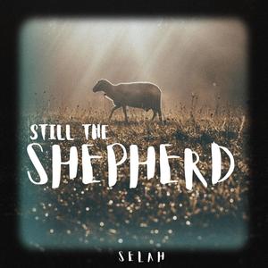 Still The Shepherd