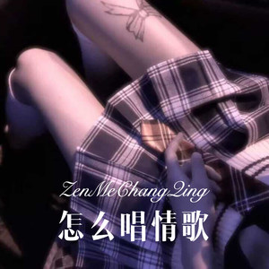 怎么唱情歌 (Remix)