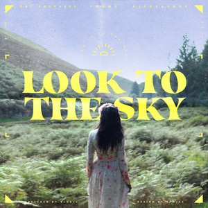 Look To The Sky