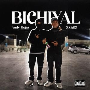 Bichiyal (feat. zsasztrrr) (Explicit)