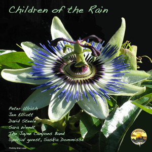 Children of the Rain(feat. Jen Elliott, David Steele, Sara Wendt, Peter Ulrich, Saskia Dommisse & The Jayne Canyons Band)