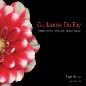 DUFAY, G.: Motets (Blue Heron Renaissance Choir, Metcalfe)