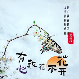 有心栽花花不开