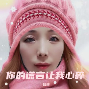 你的谎言让我心碎