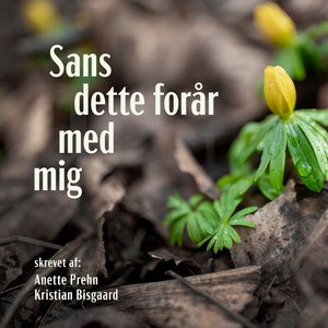 Sans dette forår med mig