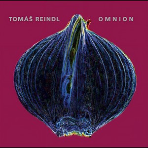 In Nomine Patris(feat. Amit Chatterjee, Pavel Hrubý, Ilona Vozničková & Jakub Vejnar) (Explicit)