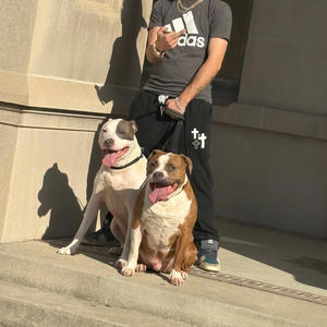 I made it woah (Explicit)