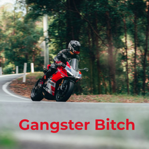 Gangster ***** (Explicit)