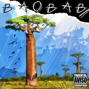 Baobab (Explicit)