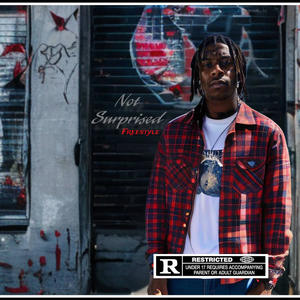 Not Surprised Freestyle (Explicit)