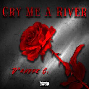 Cry Me A River (Explicit)