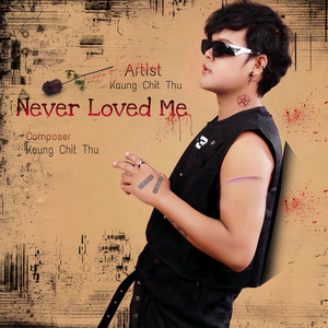 Never Loved Me